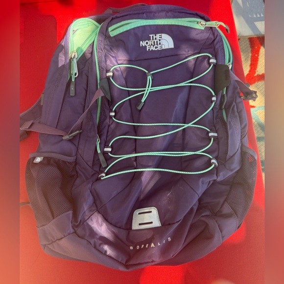 The North Face Purple Backpack with Mint Accents - Picture 1 of 4